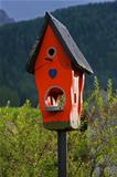 Red Wooden birdhouse isolated