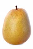 beurre hardy pear