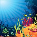 Colored coral reef and fish