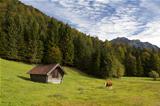 alpine pasture in Bavaria