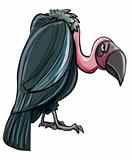 Cartoon evil looking vulture