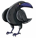 Cartoon of evil black crow