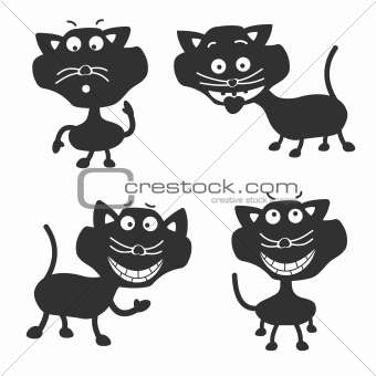 Funny Black Cats
