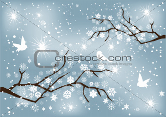 snow branches