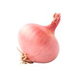 red onion 