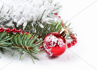 red decorations  and fir branch 