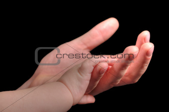 Baby hands with fathers