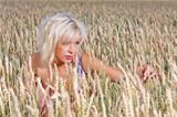 beautiful woman in a wheat field
