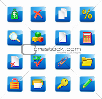 WWW accountant icons