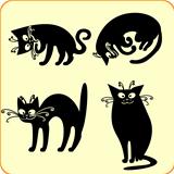 Four Black Cats 

