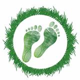 footprint around grass