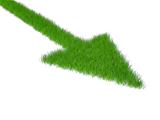 grass green pointer on a white background
