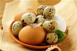 chicken and quail eggs , rustic style