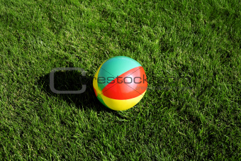 bright varicolored child's ball on a summer grass