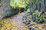 Footpath in fallen down leaves in autumn park