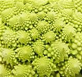 Romanesco broccoli close up