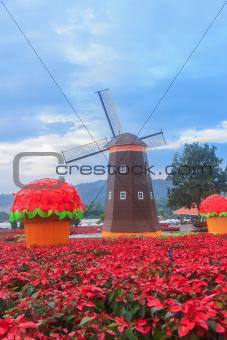 Red Poinsettia and Wind turbine