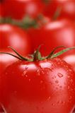 Fresh tomato with water drops