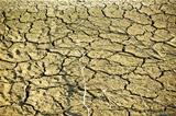 Dry soil in lake bottom during dryness