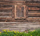 Wooden textured wall and window
