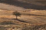 plowed autumn fields in rural Andalucia