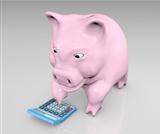 piggy with a calculator