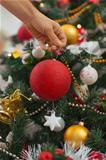 Closeup on woman hand hanging Christmas ball on Christmas tree