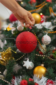 Closeup on woman hand hanging Christmas ball on Christmas tree