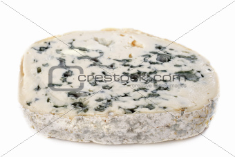 Piece of blue cheese