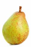 conference pear