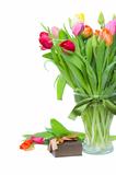 fresh tulips with present