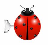 Ladybug with key