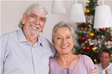 Happy grandparents standing at christmas by dinner table
