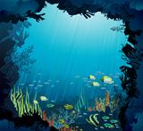 Underwater life - Coral reef and fish