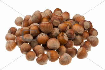 The heap of hazelnuts 