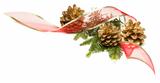 Christmas Pine Cones, Red Ribbon and Pine Branches Isolated on a White Background.