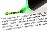 Career highlighted in green