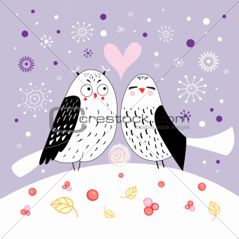 love owls