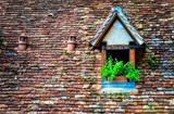 Old orange brick roof with window and flowers