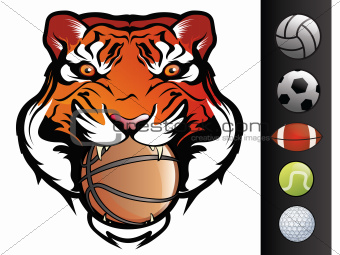 Tiger Face with Sports Balls