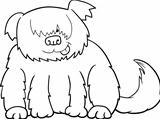 Sheepdog cartoon illustration for coloring