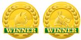 Cat and dog pet winners medals