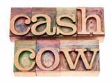 cash cow in wood type