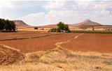 Spanish rural landscape