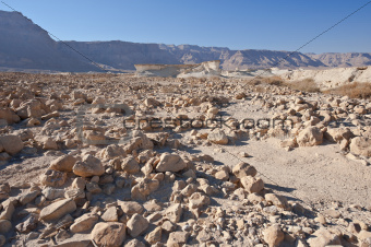 Stone Desert