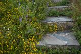 Stairs surrounded by flowers