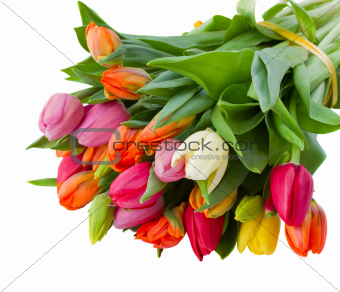bouquet of spring tulips