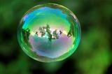 transparent bubble with reflections on a green organic background