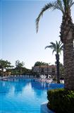 palm trees near blue pool in luxury tourist resor