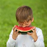 Little boy eating a fresh watermelon
